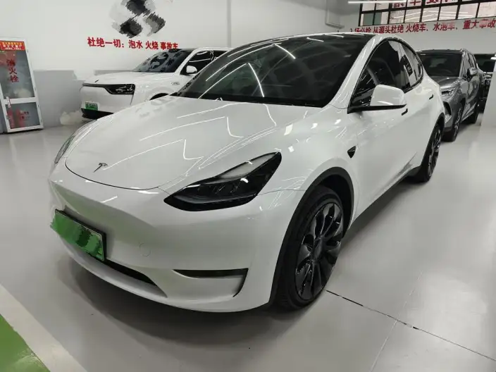 Model Y 2024 Model Rear-wheel drive version – фото 1