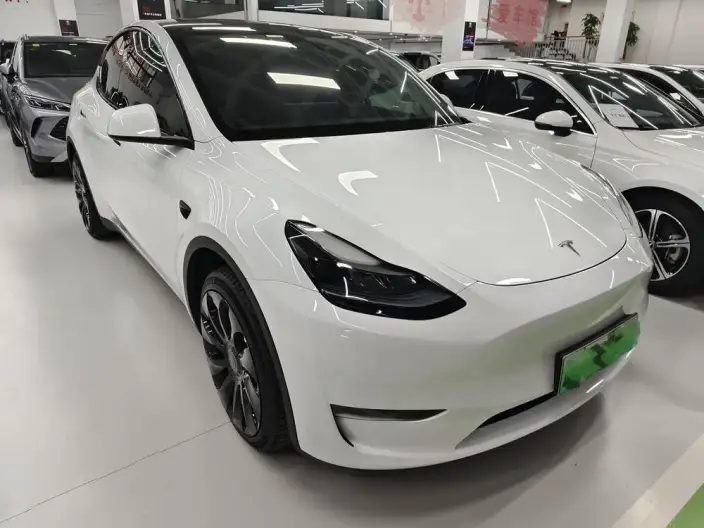Model Y 2024 Model Rear-wheel drive version – фото 3