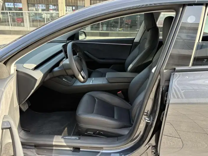 Model 3 2023 Model Long Battery Life Pro All-wheel drive version – фото 9