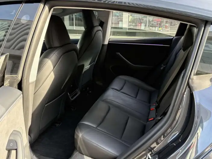Model 3 2023 Model Long Battery Life Pro All-wheel drive version – фото 10