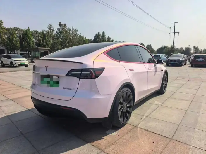 Model Y 2024 Model Performance High performance All-wheel drive version