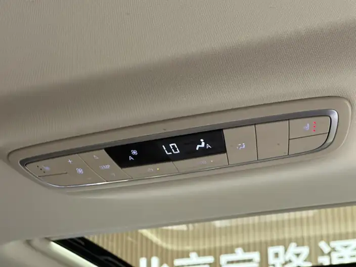 Buick GL8 2022 Model ES Luzun 653T Exclusive Model – фото 8