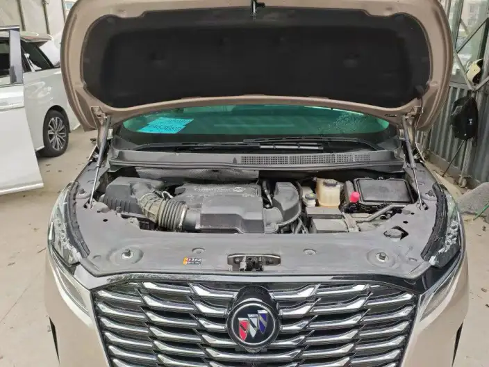 Buick GL8 2023 Model ES Luzun 2.0T Luxury Model – фото 5