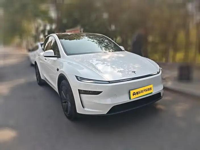 Model Y 2026 Model Long Battery Life Pro Rear-wheel drive version