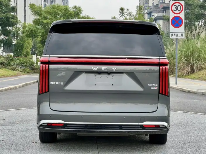 Wey Gaoshan P HEV 2025 Model 4WD Wey Gaoshan 8 – фото 5