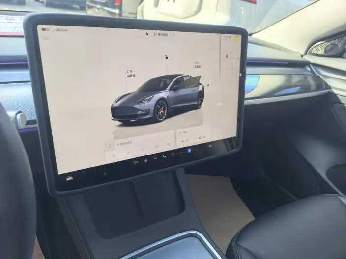 Model 3 2022 Model Performance High performance All-wheel drive version – фото 9