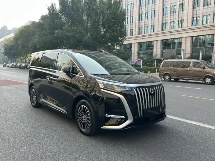 Denza D9 EV 2024 Model 620 2WD Exclusive Model