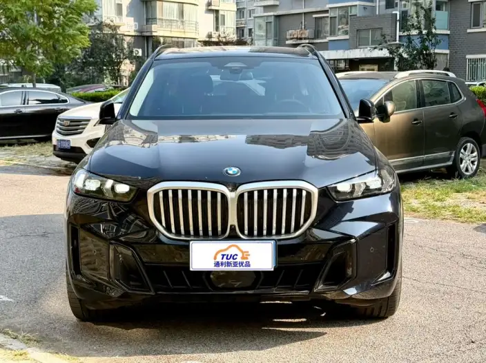 BMW X5 2023 Model xDrive30Li Exclusive Model M Sports Night Set – фото 2