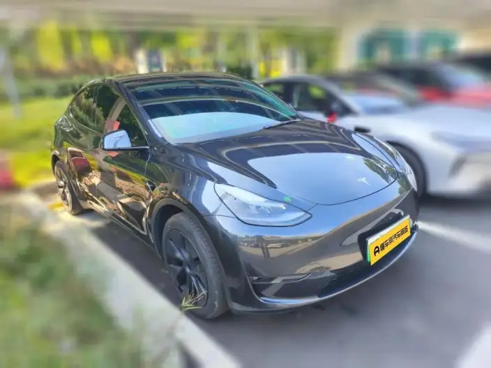 Model Y 2024 Model Long Battery Life Pro All-wheel drive version