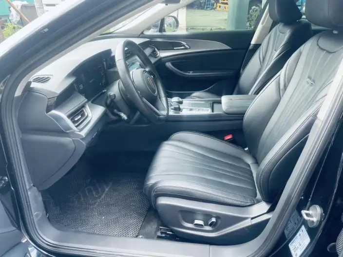 Hongqi H5 2024 Model 2.0T Automatic Flag Lead Edition – фото 8