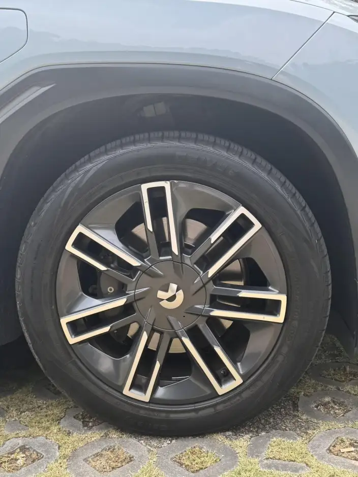 NIO ES6 2020 Model 600KM Sports Edition – фото 7
