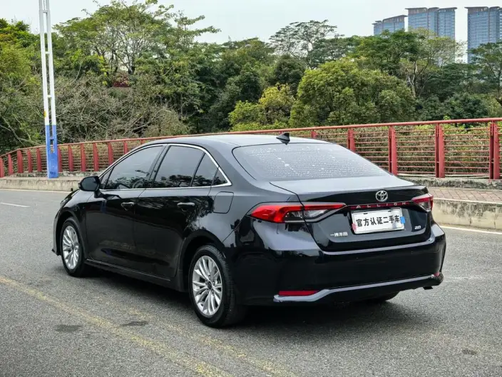 Asia Lion 2021 Model 2.0L Enterprising Edition – фото 5