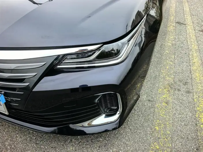 Asia Lion 2021 Model 2.0L Enterprising Edition – фото 8