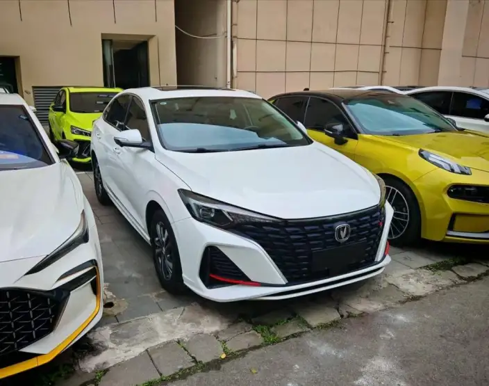 Changan Eado 2023 Model PLUS Changxiang Edition Blue whale NE 1.4T GDI DCT Noble Model