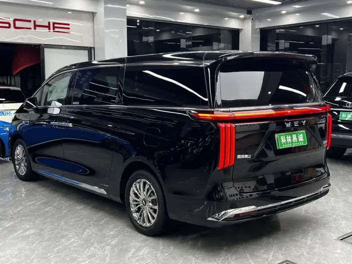 Wey Gaoshan P HEV 2023 Model 4WD Executive Extended Edition – фото 5