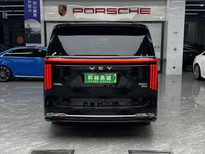 Wey Gaoshan P HEV 2023 Model 4WD Executive Extended Edition – фото 6