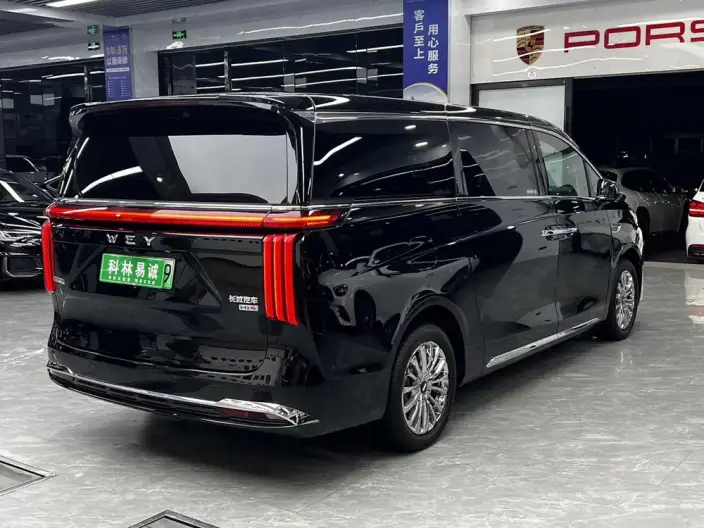 Wey Gaoshan P HEV 2023 Model 4WD Executive Extended Edition – фото 7