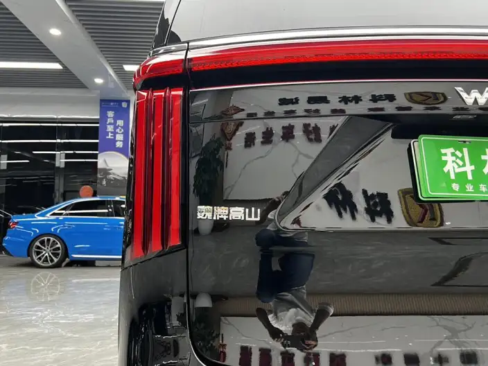 Wey Gaoshan P HEV 2023 Model 4WD Executive Extended Edition – фото 10