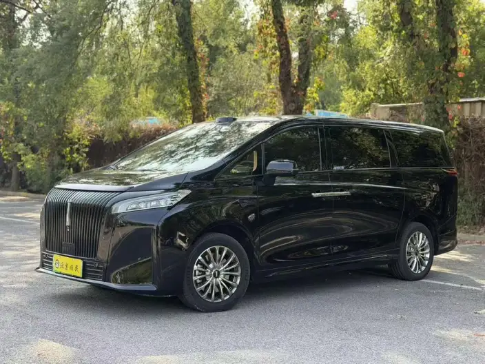 Wey Gaoshan P HEV 2025 Model 4WD Wey Gaoshan 8