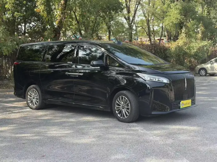 Wey Gaoshan P HEV 2025 Model 4WD Wey Gaoshan 8