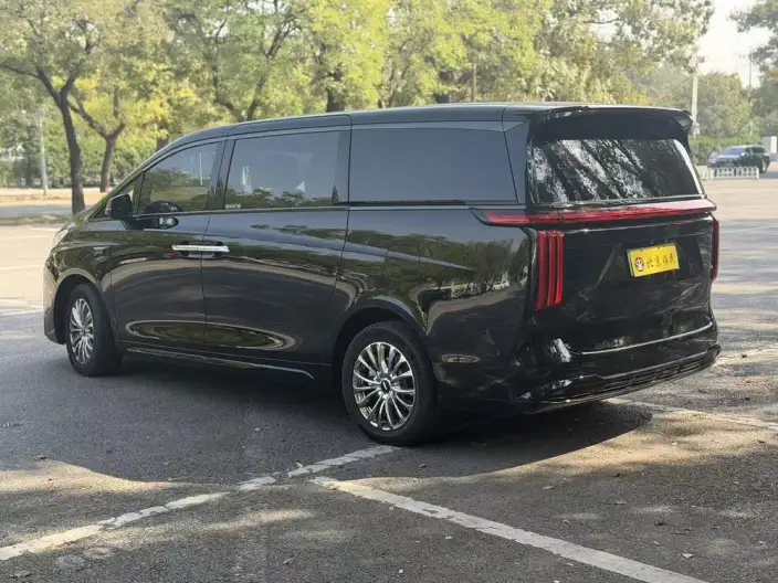 Wey Gaoshan P HEV 2025 Model 4WD Wey Gaoshan 8