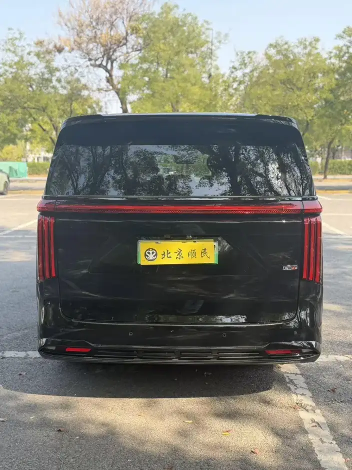 Wey Gaoshan P HEV 2025 Model 4WD Wey Gaoshan 8