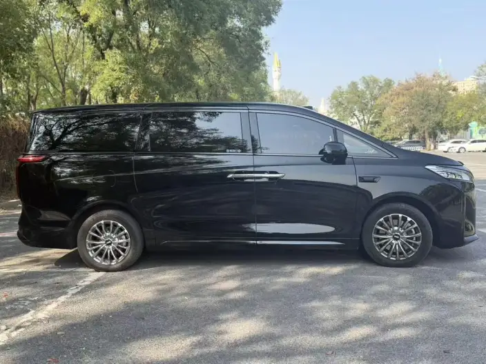Wey Gaoshan P HEV 2025 Model 4WD Wey Gaoshan 8 – фото 5