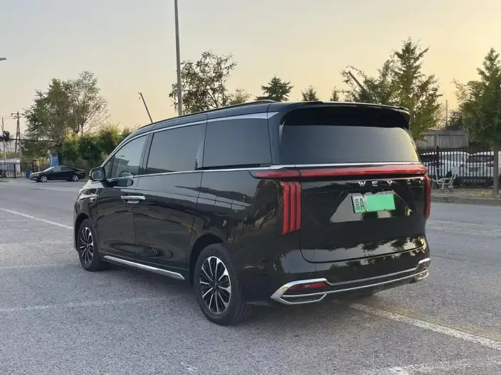 Wey Gaoshan P HEV 2025 Model 4WD Wey Gaoshan 7