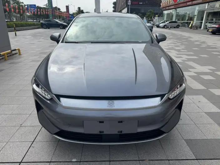 Qin Plus EV 2021 Model 400KM Lingchang Edition – фото 2