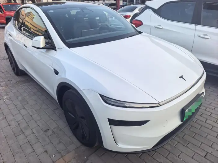 Model Y 2026 Model Rear-wheel drive version – фото 2