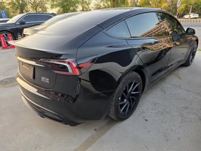 Model 3 2025 Model High performance All-wheel drive version – фото 4