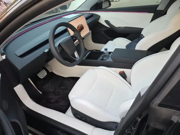 Model 3 2025 Model High performance All-wheel drive version – фото 5