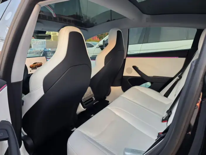 Model 3 2025 Model High performance All-wheel drive version – фото 6