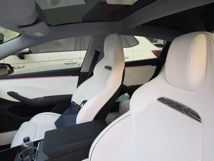 Model 3 2025 Model High performance All-wheel drive version – фото 7