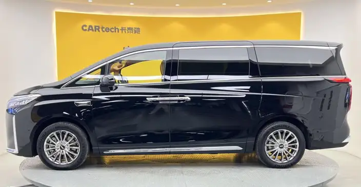 Wey Gaoshan P HEV 2025 Model 4WD Wey Gaoshan 8