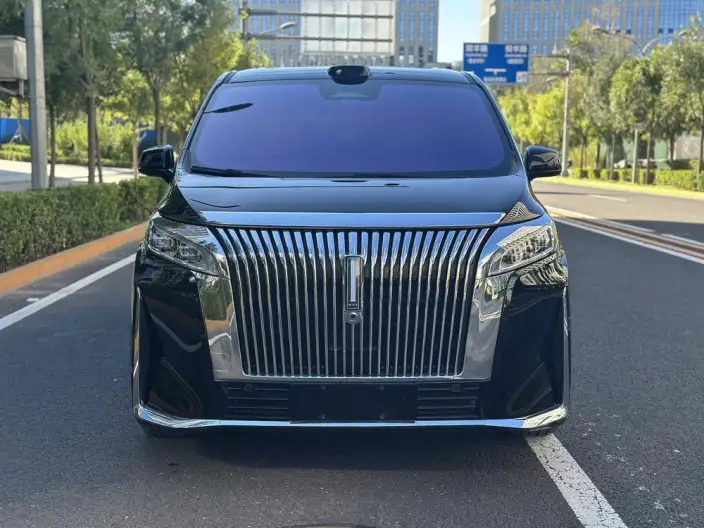 Wey Gaoshan P HEV 2025 Model 4WD Wey Gaoshan 8