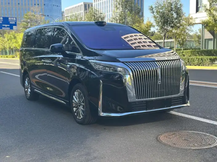 Wey Gaoshan P HEV 2025 Model 4WD Wey Gaoshan 8