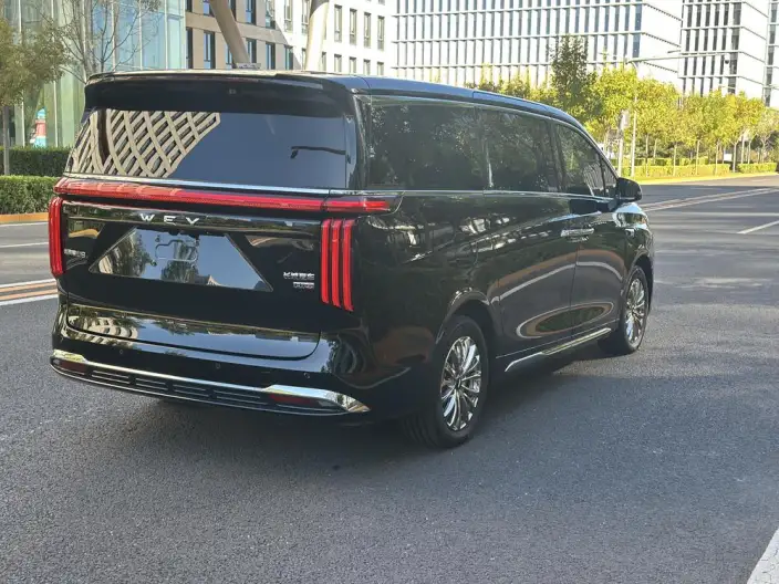Wey Gaoshan P HEV 2025 Model 4WD Wey Gaoshan 8 – фото 6