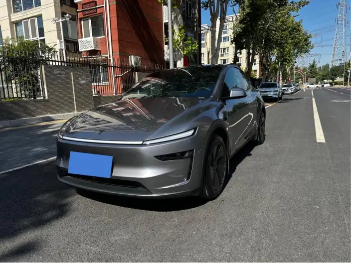 Model Y 2026 Model Rear-wheel drive version – фото 1