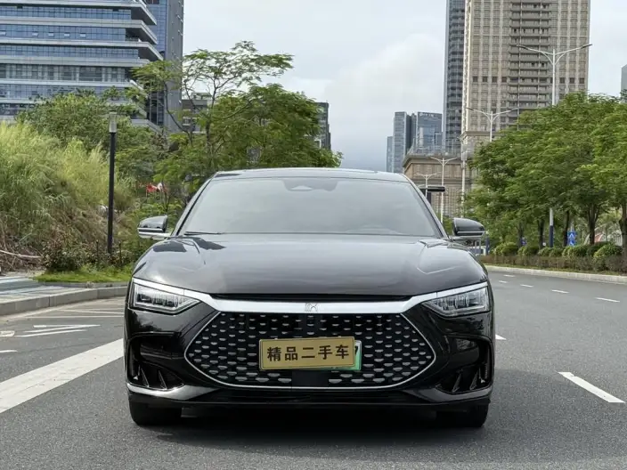 BYD Han DM 2024 Model DM-i Honor Edition 121KM Exclusive Model – фото 2