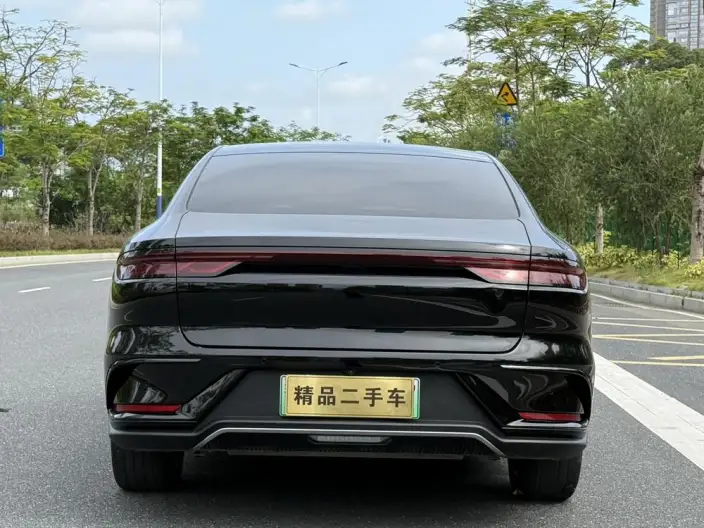 BYD Han DM 2024 Model DM-i Honor Edition 121KM Exclusive Model – фото 6