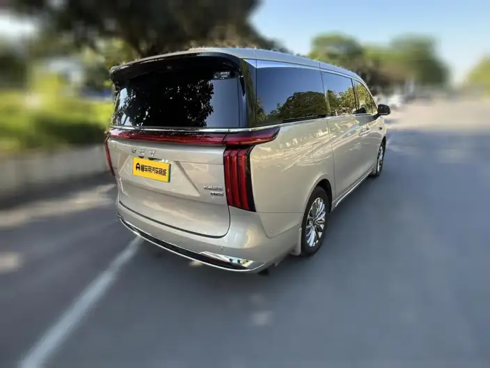 Wey Gaoshan P HEV 2025 Model 4WD Wey Gaoshan 8