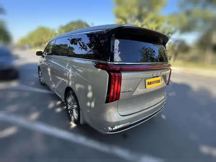 Wey Gaoshan P HEV 2025 Model 4WD Wey Gaoshan 8
