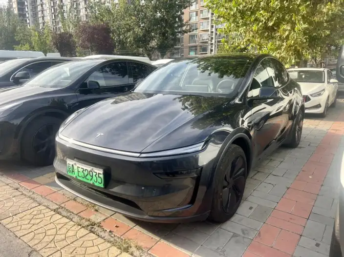 Model Y 2025 Model Rear-wheel drive version – фото 1