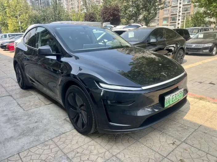 Model Y 2025 Model Rear-wheel drive version – фото 3