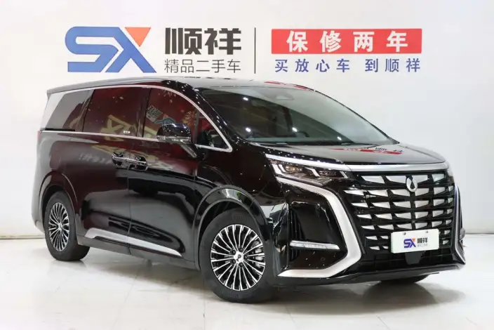 DENZA D9 DM 2022 Model 970 4WD Flagship Model – фото 3