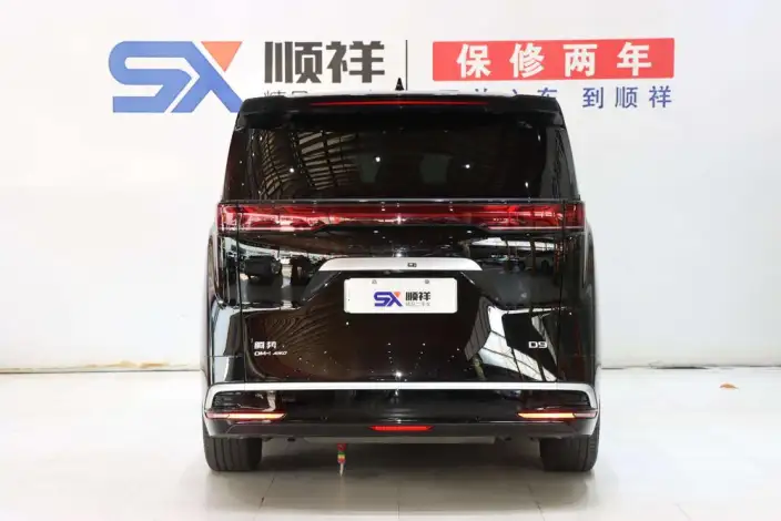 DENZA D9 DM 2022 Model 970 4WD Flagship Model – фото 5