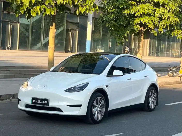 Model Y 2021 Model Standard Battery Life Rear-wheel drive version – фото 1