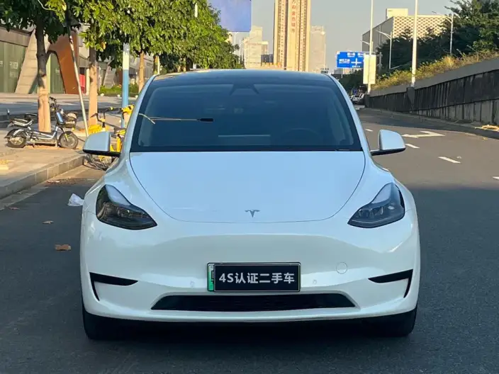 Model Y 2021 Model Standard Battery Life Rear-wheel drive version – фото 2