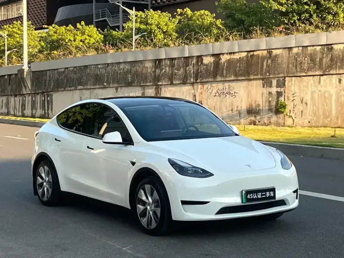 Model Y 2021 Model Standard Battery Life Rear-wheel drive version – фото 3